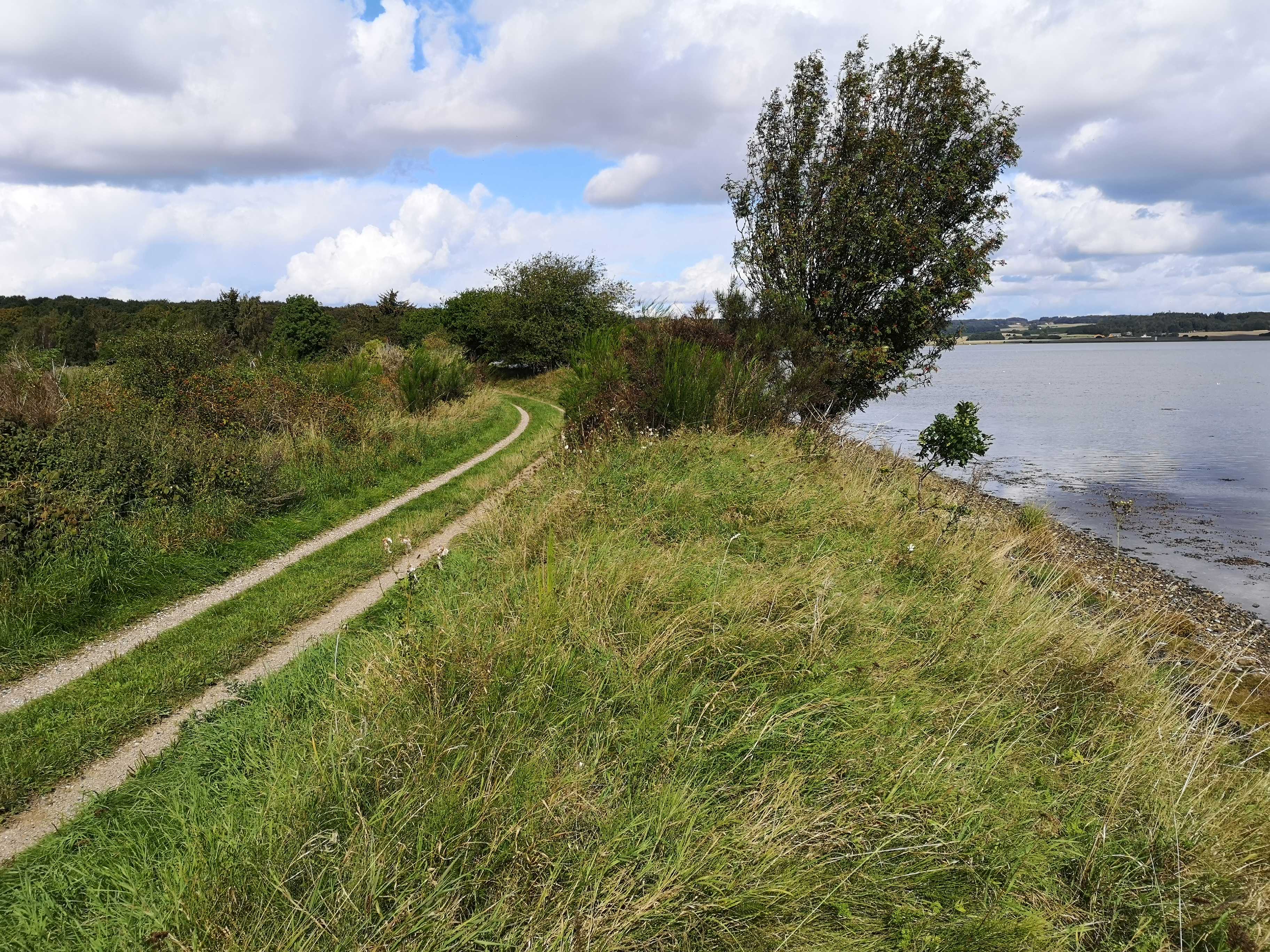 Husoddestien, cykel- og vandresti nord for Horsens Fjord