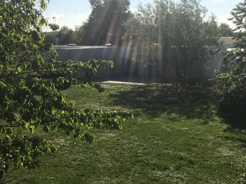 Billedet viser Børnelundens udeareal bestående af græs og træer